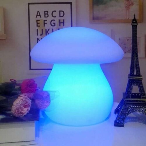 Glowing Mushroom Remote Control Lamp photo review