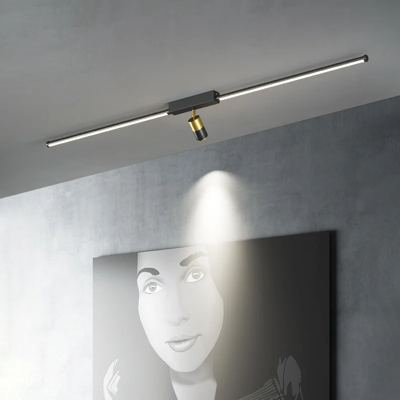 Sleek linear LED ceiling light with a central adjustable gold and black spotlight illuminating a portrait on a gray wall.