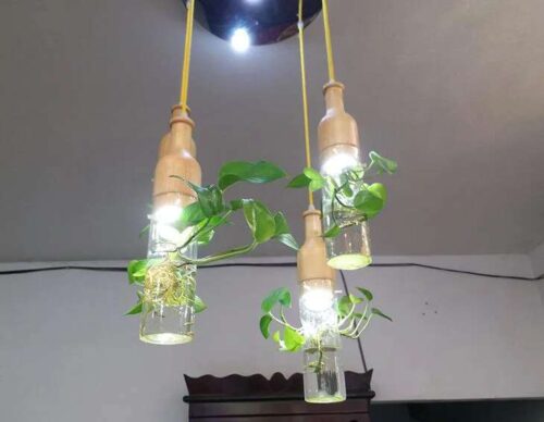 Three Head Multi Style Plant Chandelier photo review